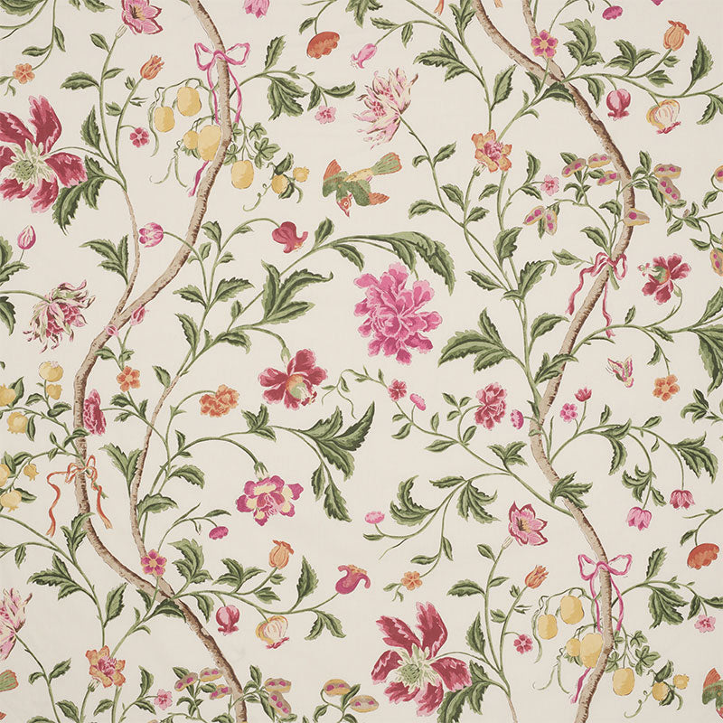 Citronier | Fuchsia