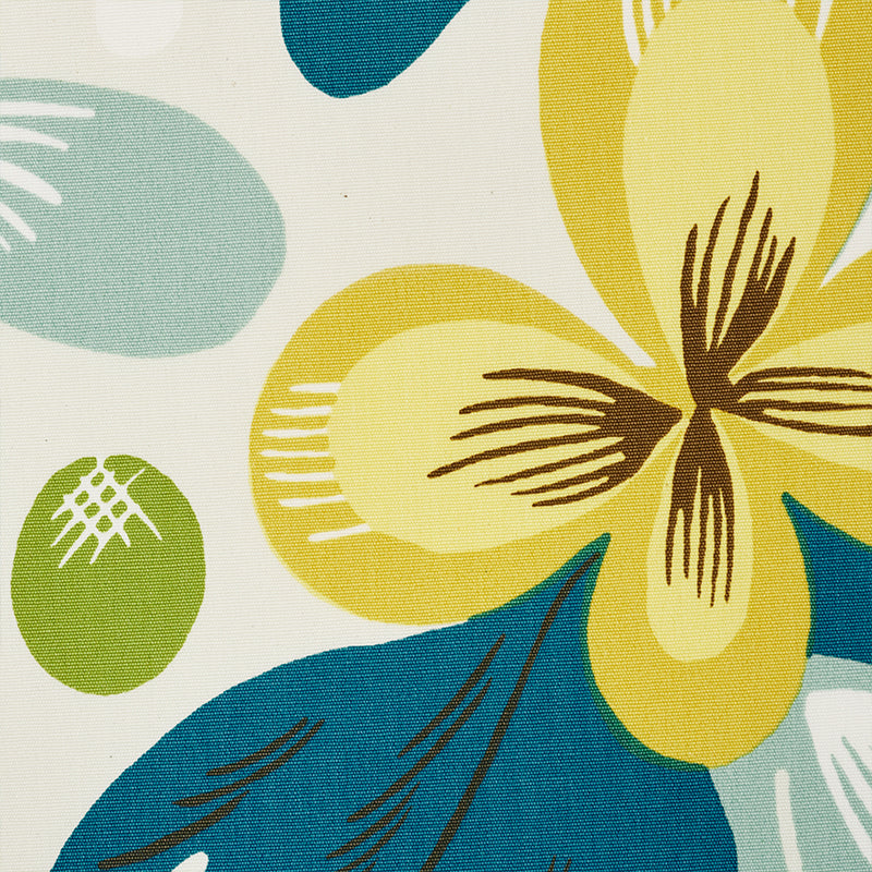 Juin | Citron & peacock