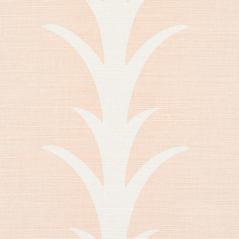 Acanthus stripe | Blush