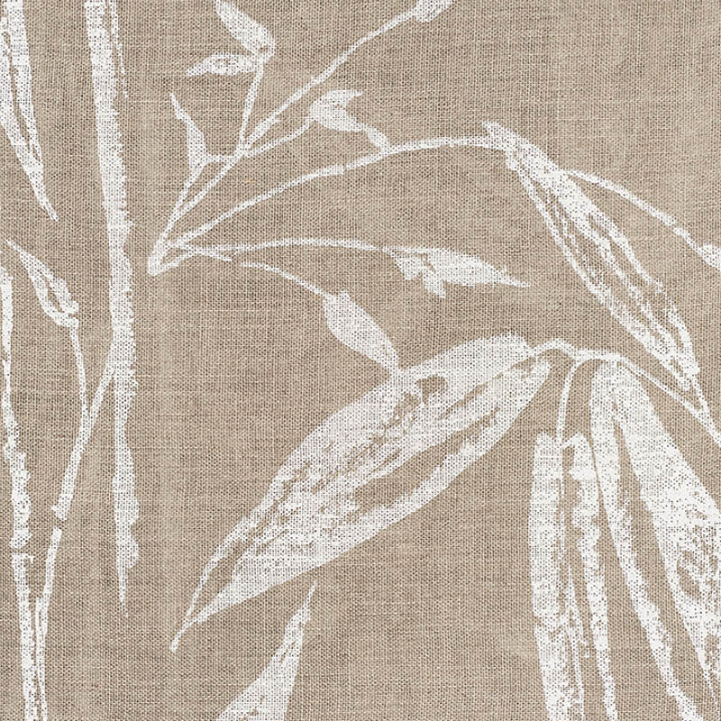 Bamboo garden | Natural
