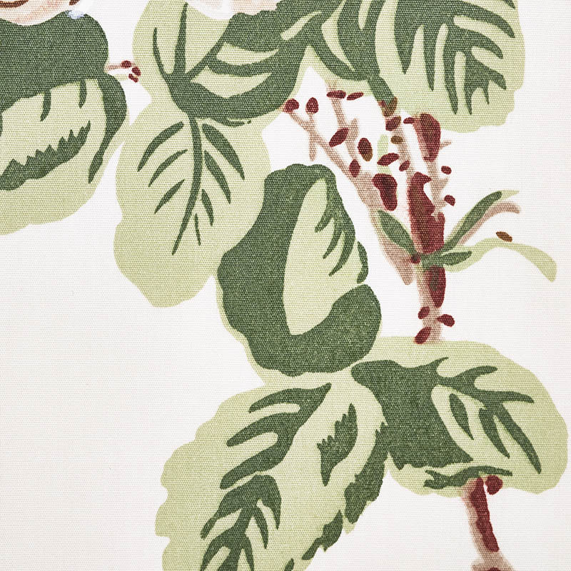 Betty chintz | Quiet pink