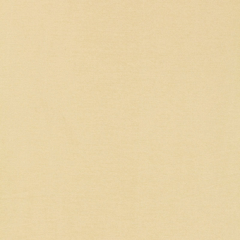 Tiepolo shantung weave | Bone