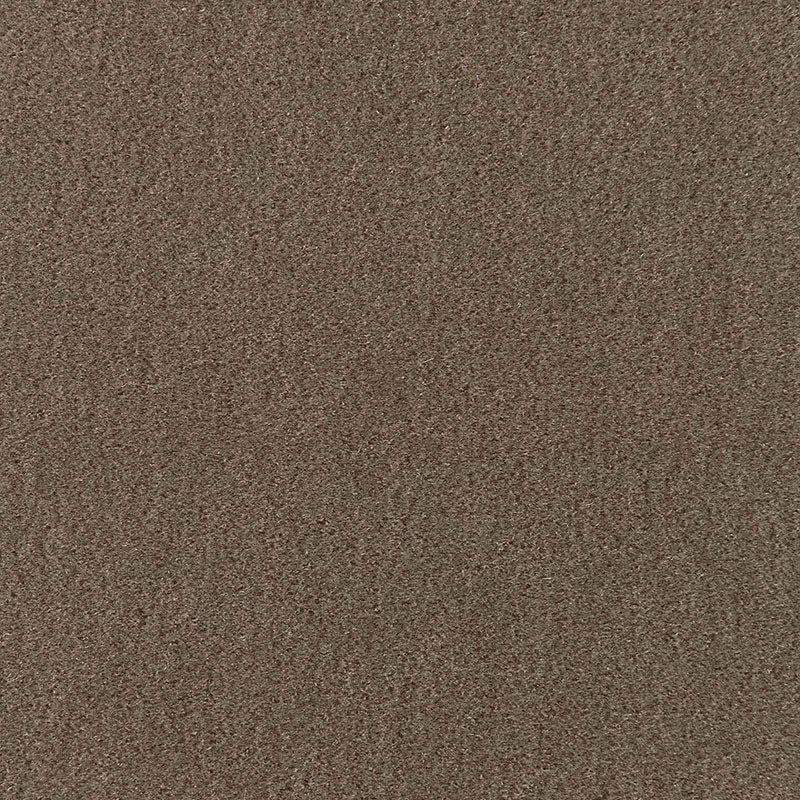 San carlo mohair velvet | Taupe