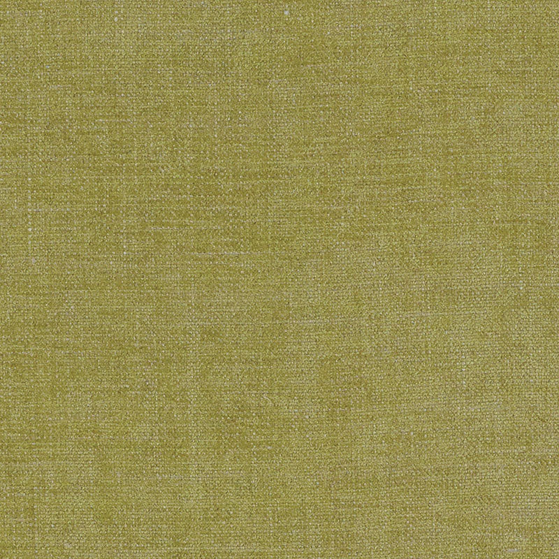 Auden | Chartreuse