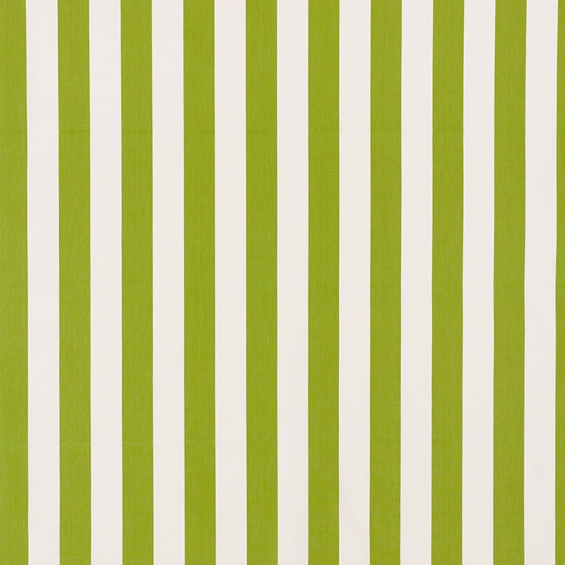 Andy stripe | Green