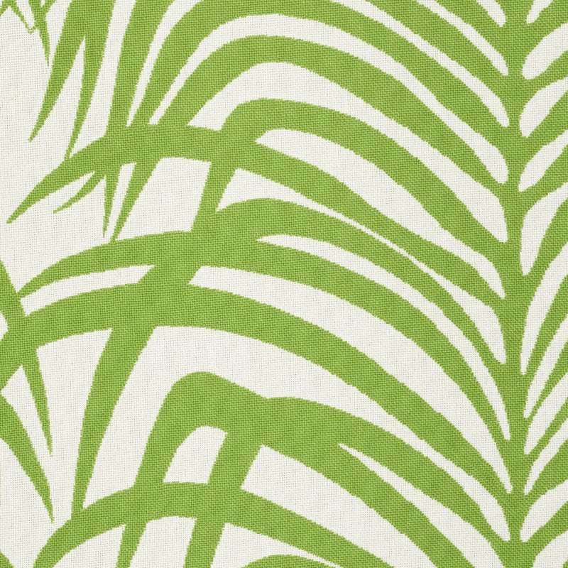 Zebra palm indoor/outdoor | Leaf