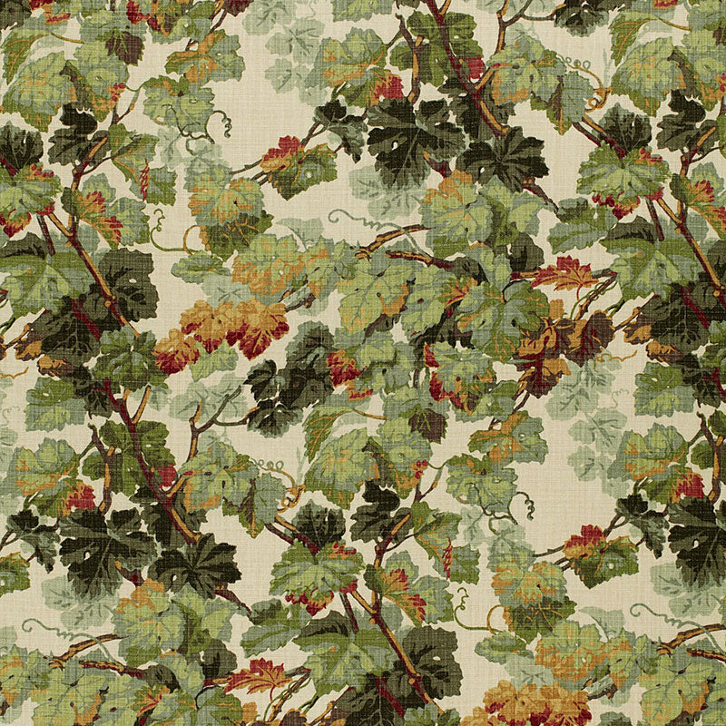 Arbor vine | Document