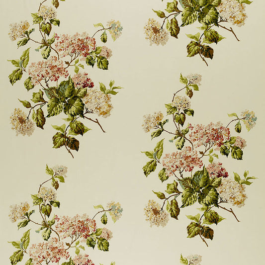 Summer hydrangea | Ivory