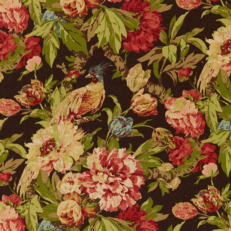 Ashbourne peony | Chestnut