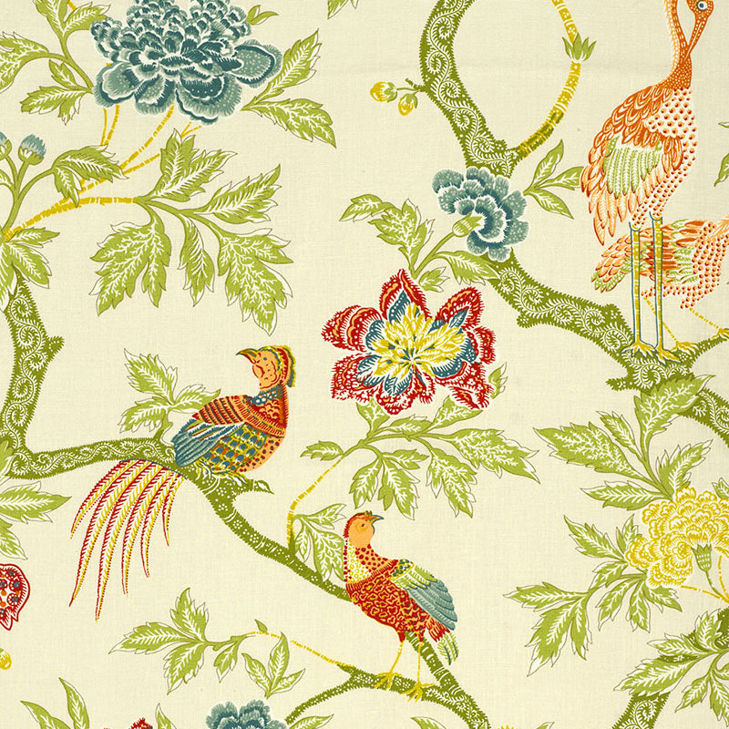 Arbre chinois | Meadow