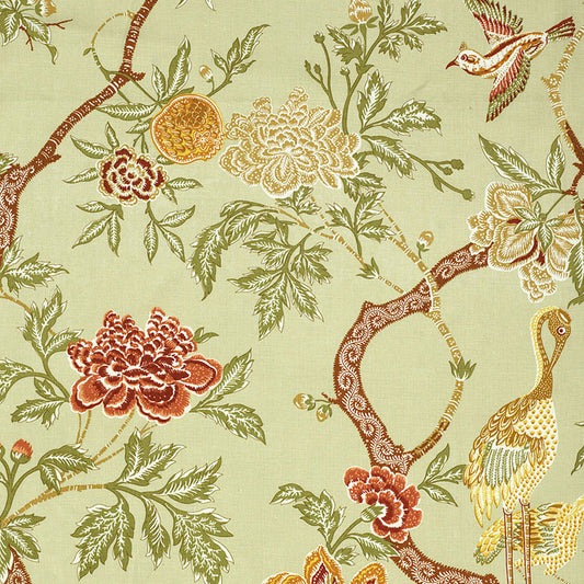 Arbre chinois | Sage