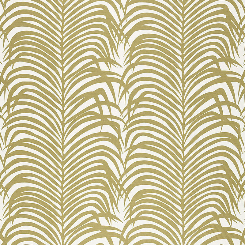 Zebra palm | Khaki