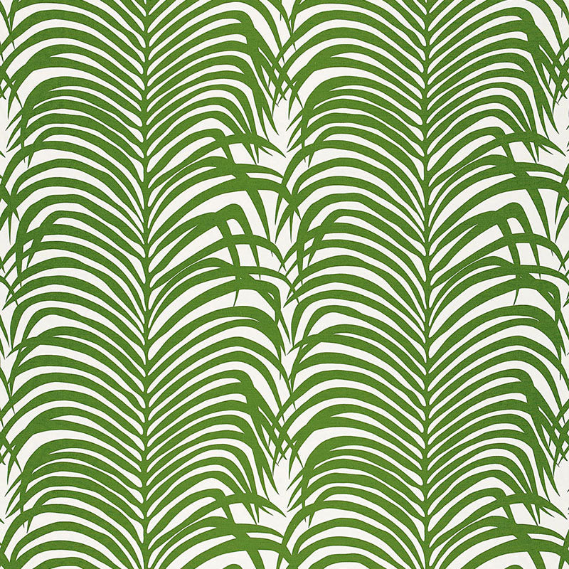 Zebra palm | Jungle
