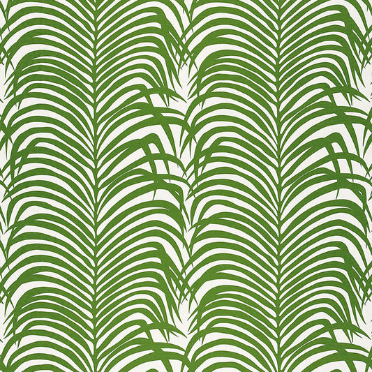 Zebra palm | Jungle