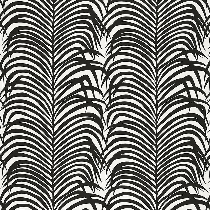 Zebra palm | Ebony