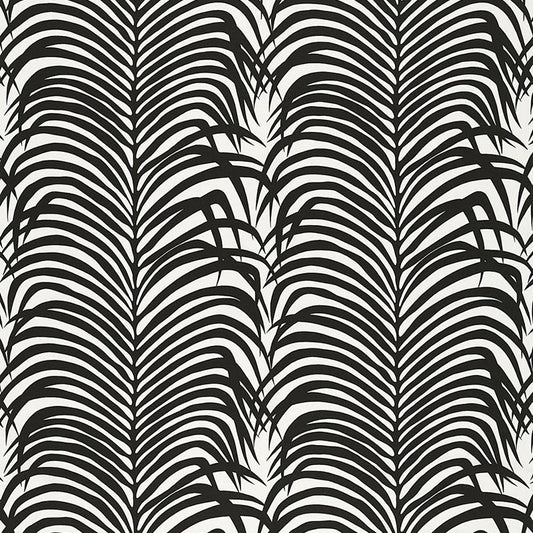Zebra palm | Ebony