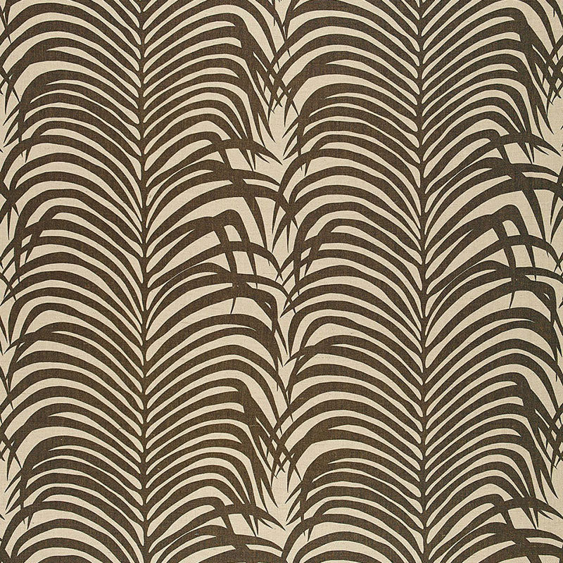 Zebra palm | Java