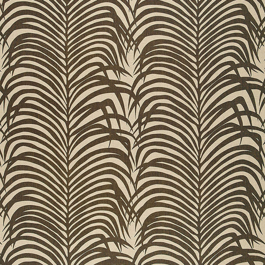 Zebra palm | Java