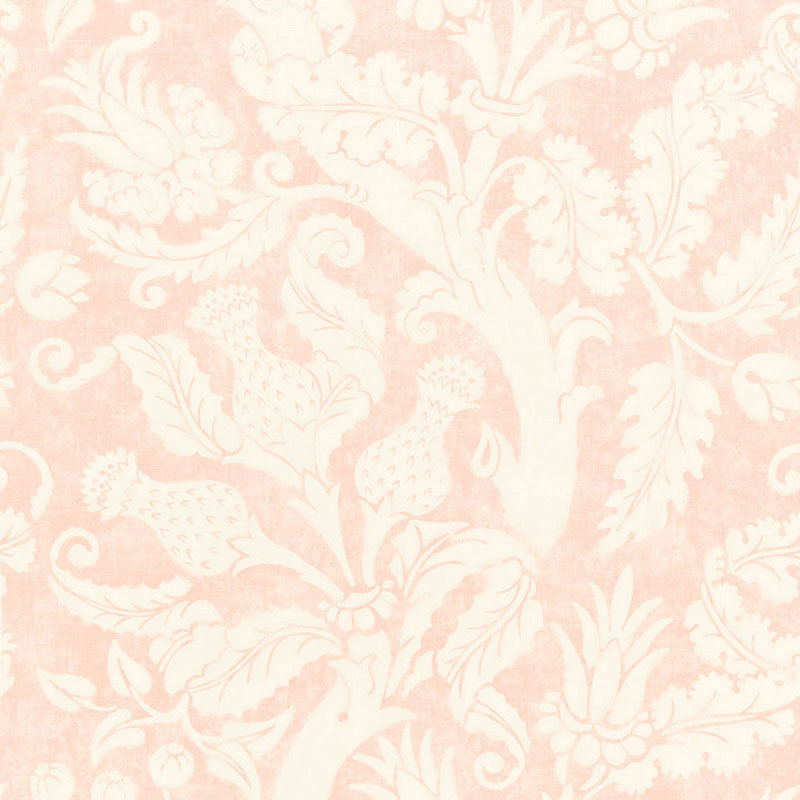 Villa de medici | Blush conch
