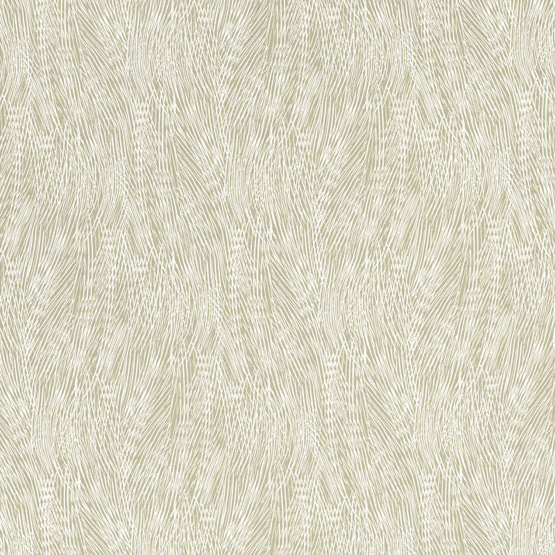 Grand cascade | Driftwood
