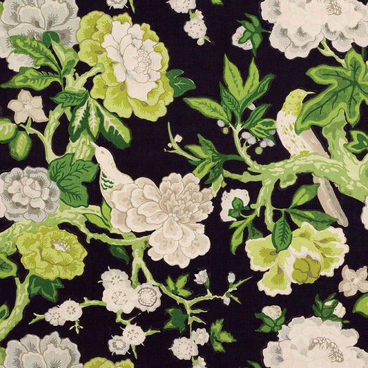 Bermuda blossoms | Jet