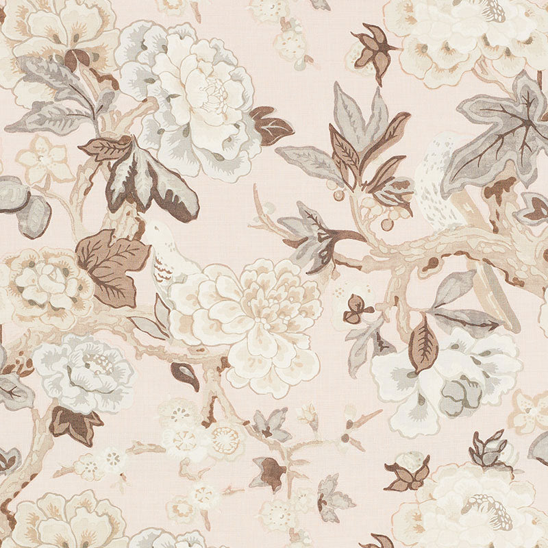 Bermuda blossoms | Blush