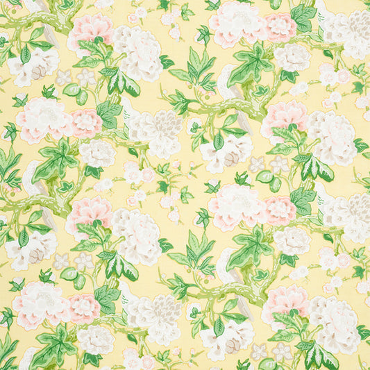 Bermuda blossoms | Yellow