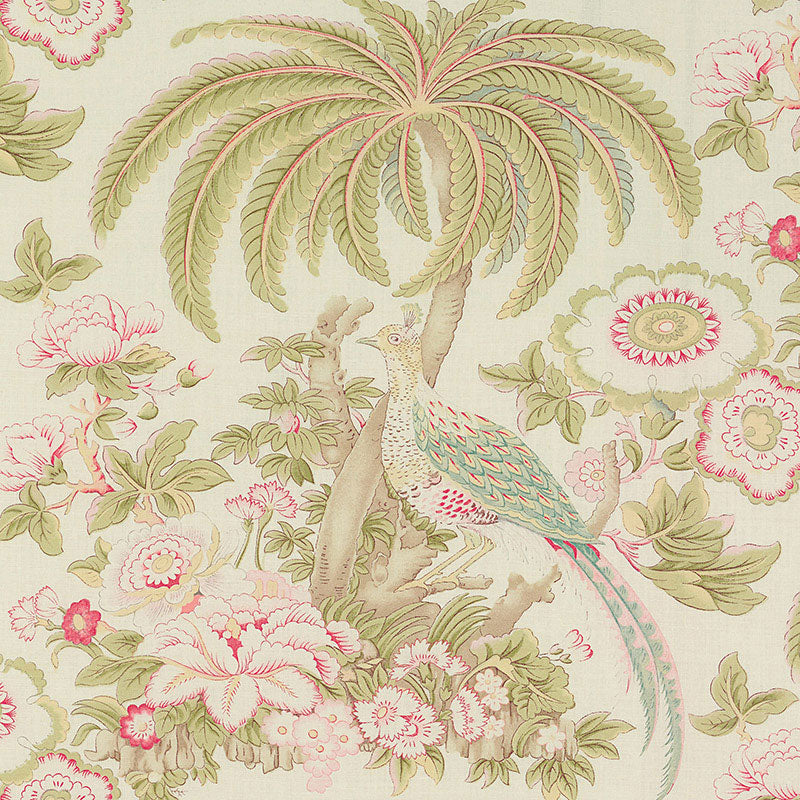 Thicket | Bright bloom