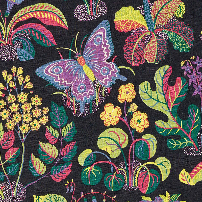 Exotic butterfly | Black