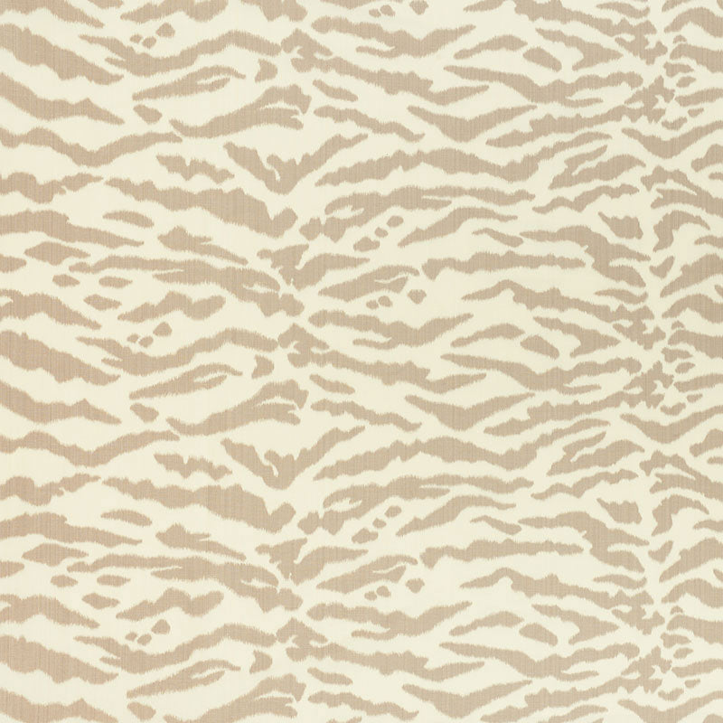 Tigris | Desert