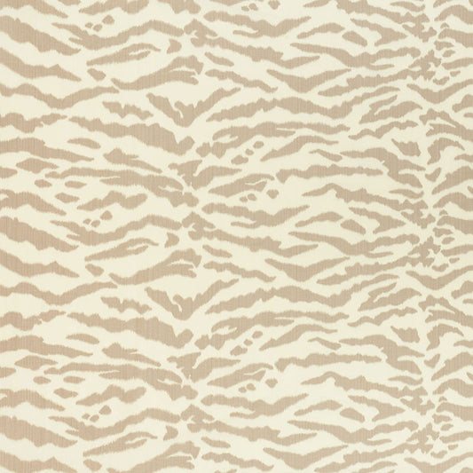 Tigris | Desert