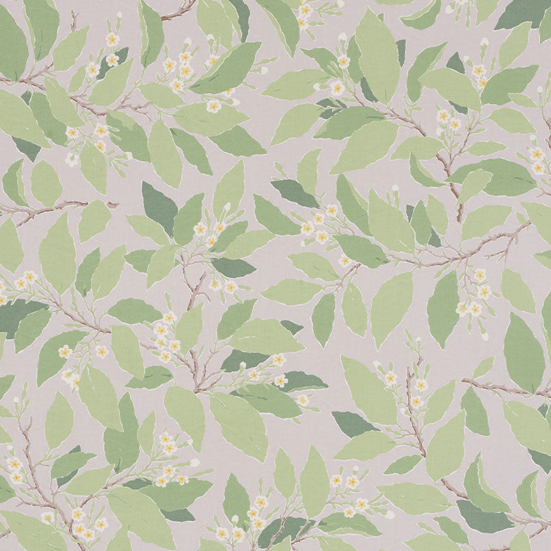 Dogwood leaf | Grisaille