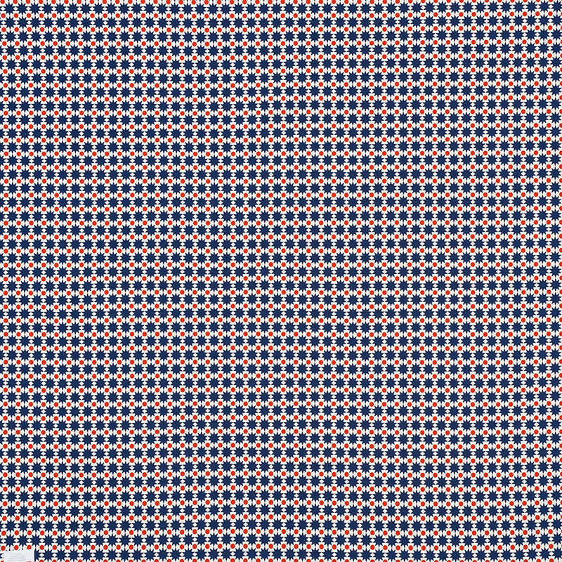 Cosmos ii | Navy & red