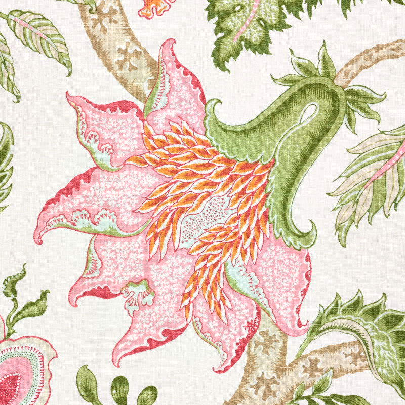 Arborvitae | Pink & leaf