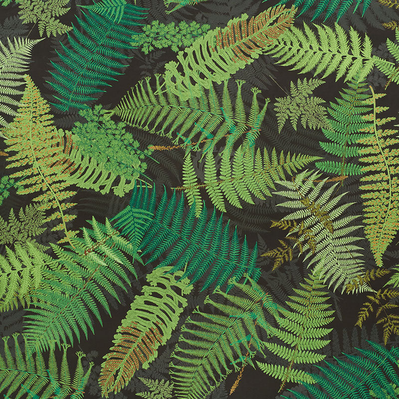 Fernarium | Green & black