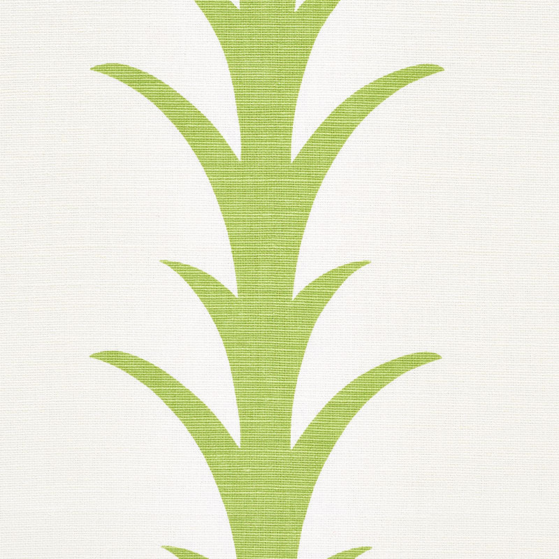 Acanthus stripe | Leaf