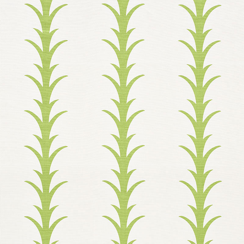 Acanthus stripe | Leaf