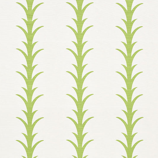 Acanthus stripe | Leaf