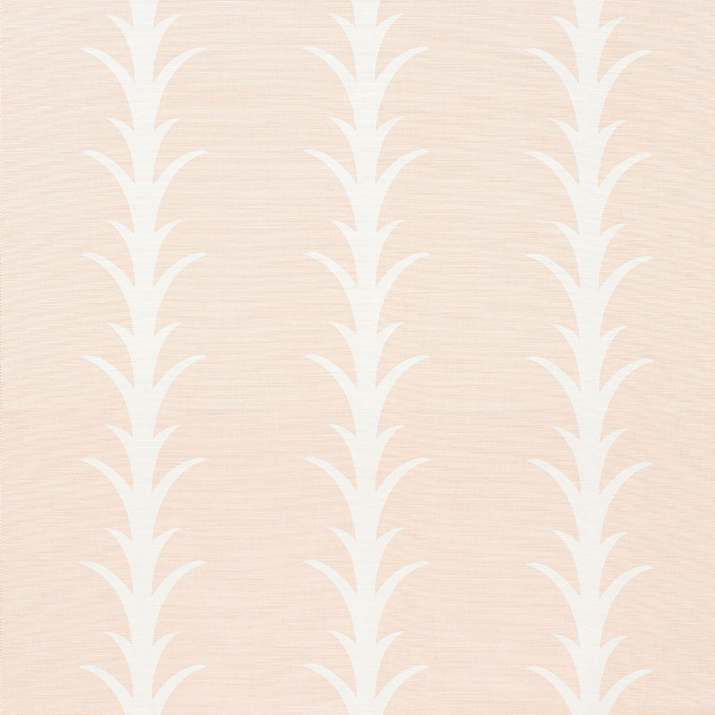 Acanthus stripe | Blush