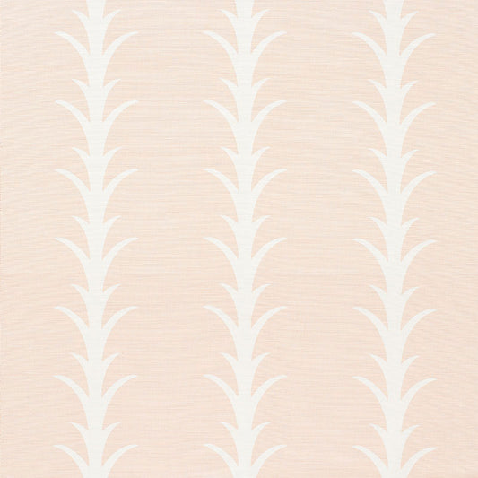 Acanthus stripe | Blush