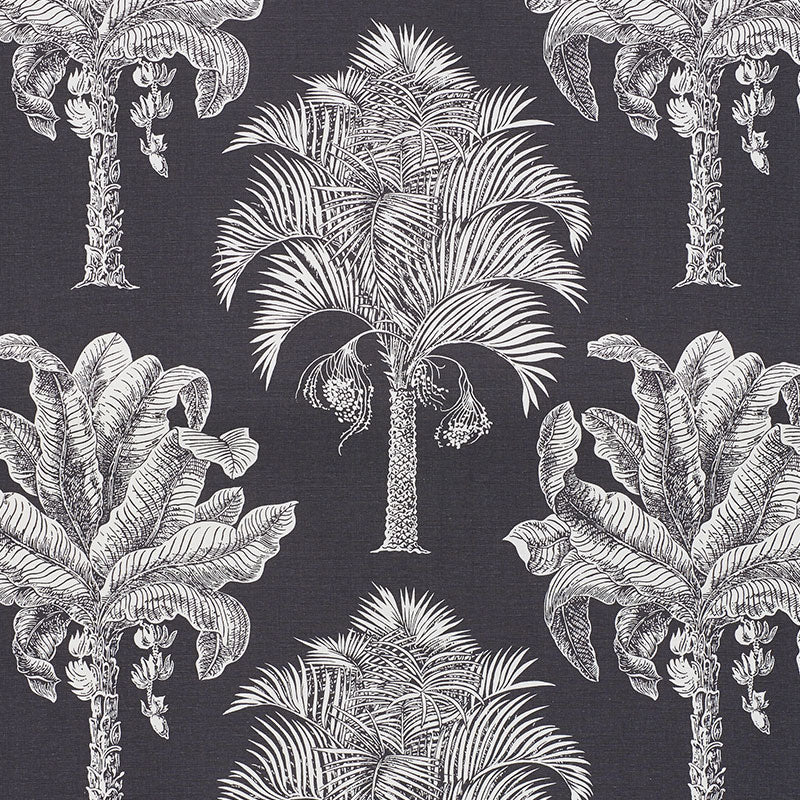Grand palms | Carbon