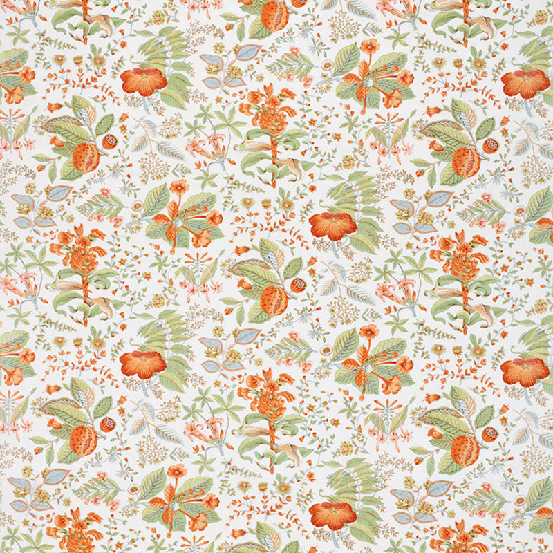Pomegranate botanical | Orange