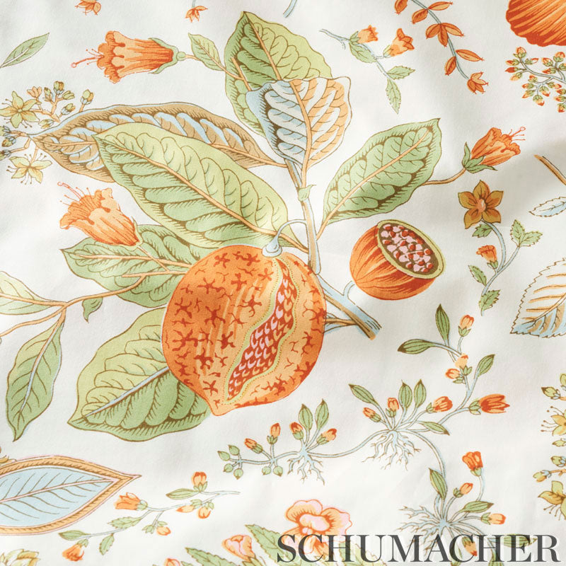 Pomegranate botanical | Orange