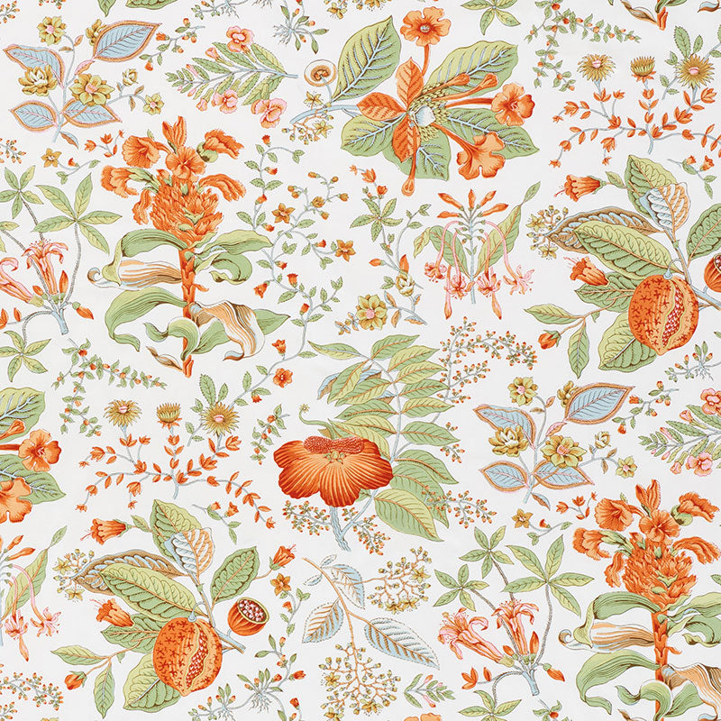 Pomegranate botanical | Orange