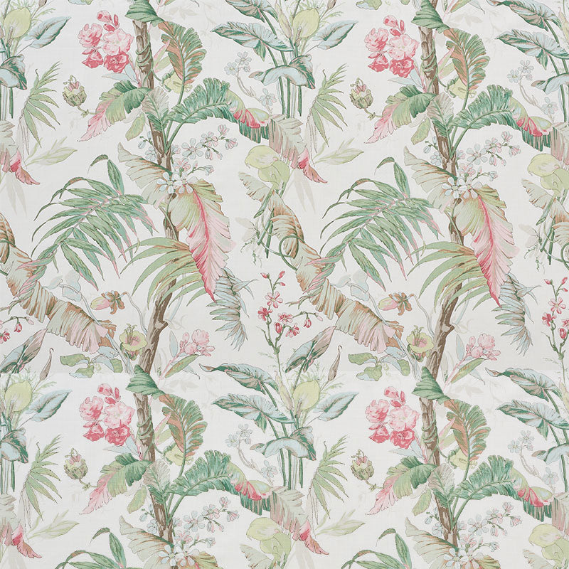 Tropique | Blush