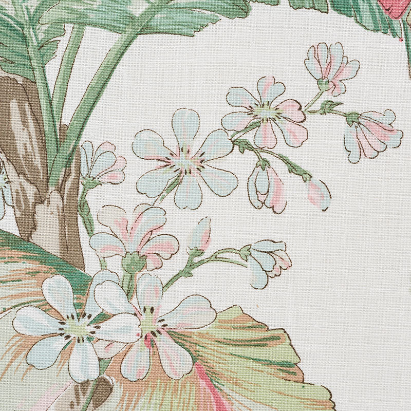 Tropique | Blush