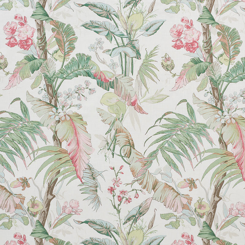Tropique | Blush
