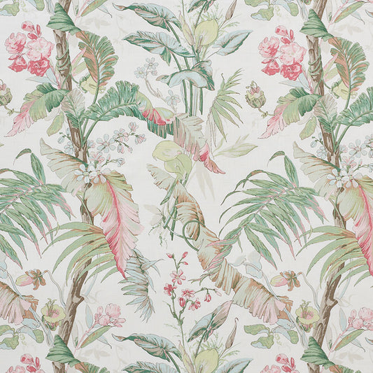 Tropique | Blush