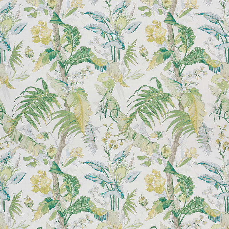 Tropique | Citron