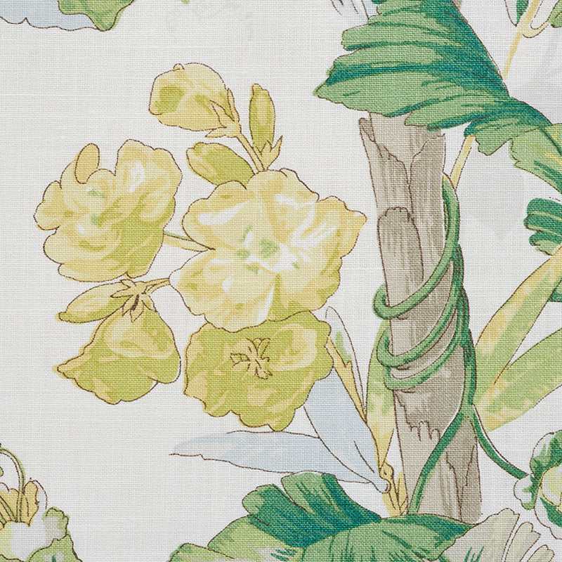 Tropique | Citron
